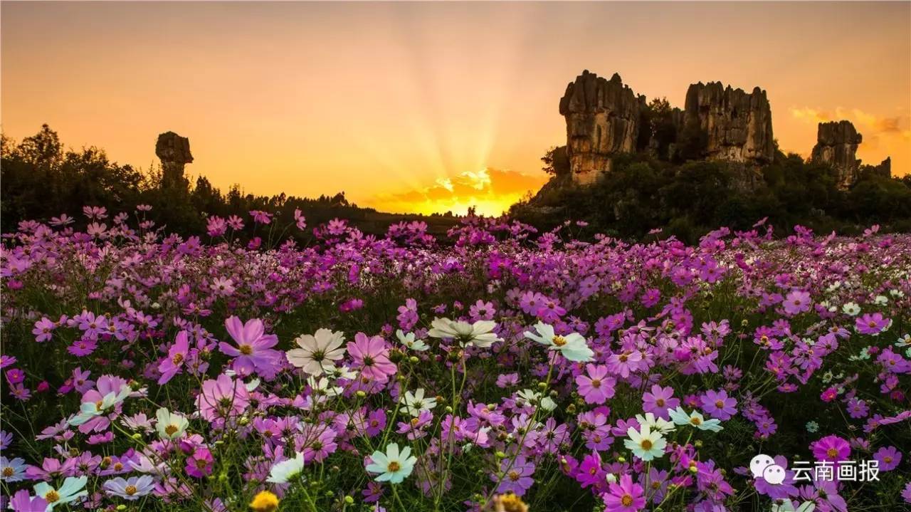 云南最值得去的地方排行榜第一名,云南哪些方面世界第一