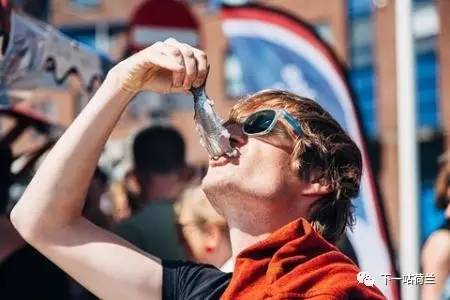 荷兰回国之路,离开荷兰感想