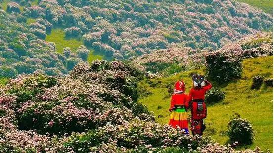 刚好遇见你,我的乌蒙