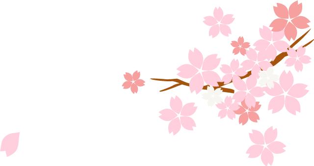 2017年招聘书记员条件,我院招录聘用制书记员