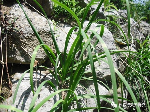 高温天气郑州,郑州高温哪里避暑