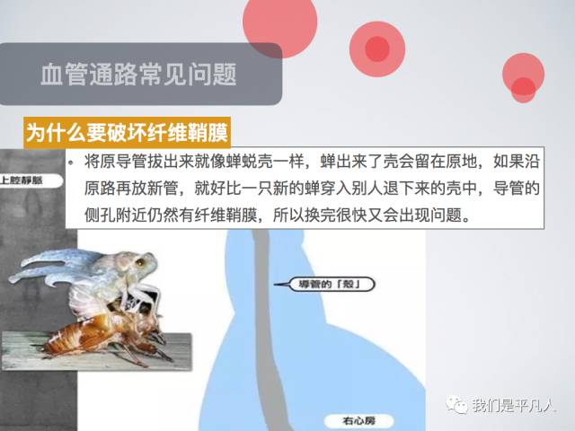 血透净化标准操作规程,血液净化基本操作技术