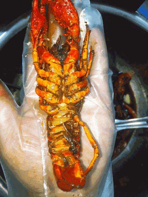 重庆99元4斤小龙虾网红店 (重庆小龙虾最火的店)