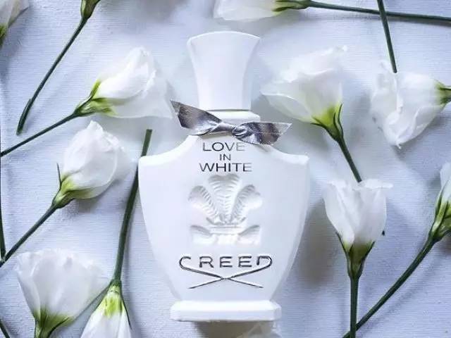 樊姐送关关的香水,樊姐送给关关什么香水