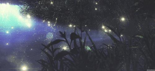 淘宝禁售产品新政策,淘宝商家禁售公告