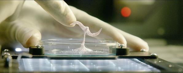 影友辣评《异星觉醒》：高颜值天团花样作死反转结局令人绝望