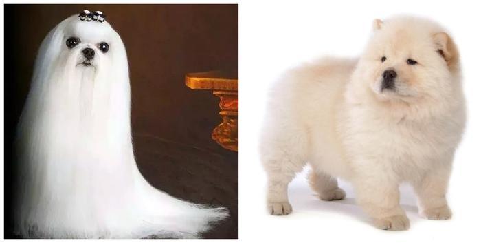 细软发质拉直容易翘,细软卷头发怎么烫成粗硬直发