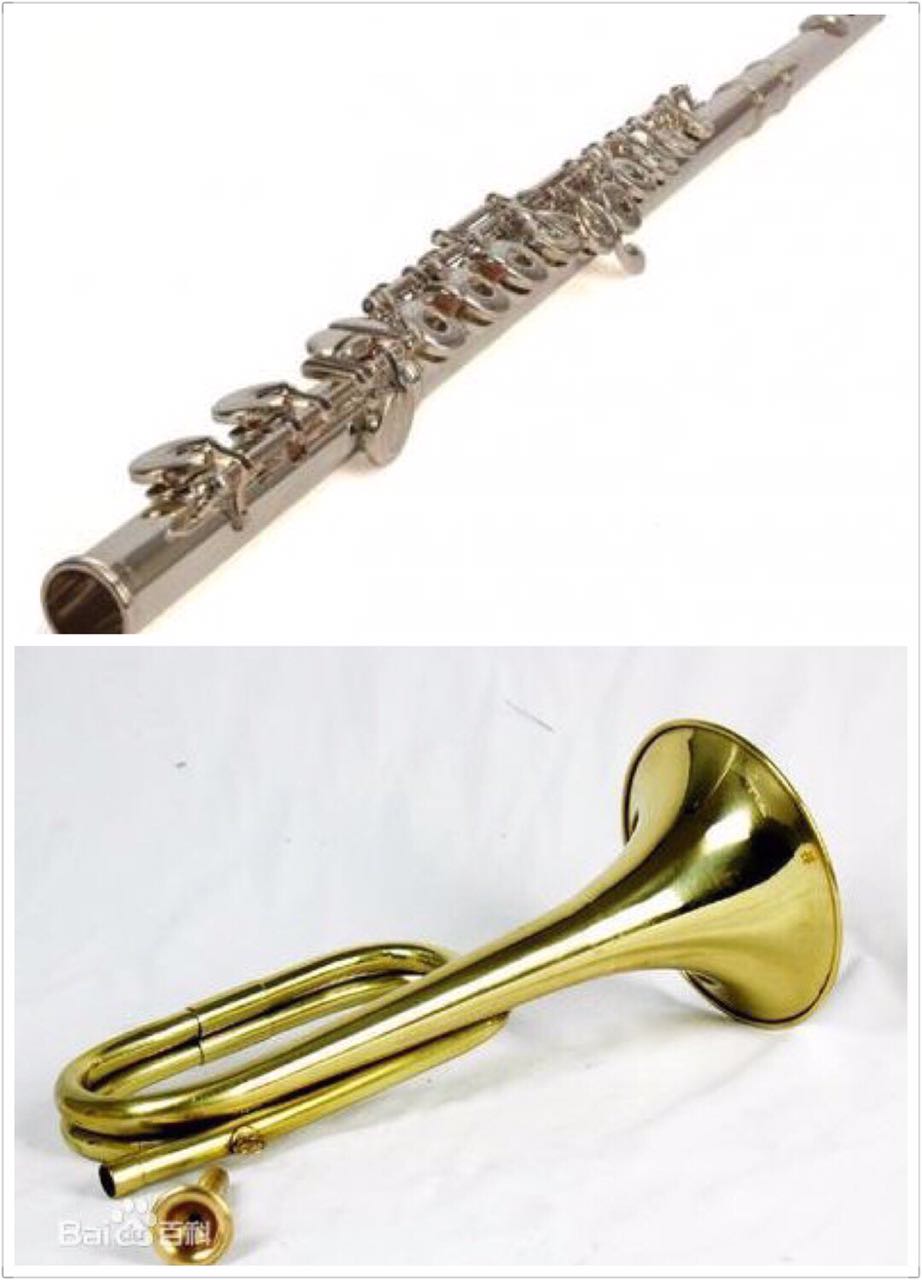 中国军乐为什么只有管乐器,木管乐器的介绍