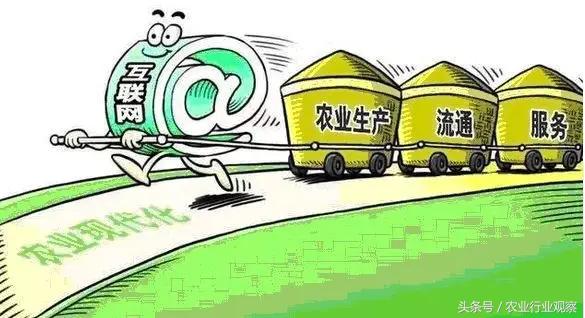 刘强东、马云都避谈，农资电商问题频频，未来之路如何走？
