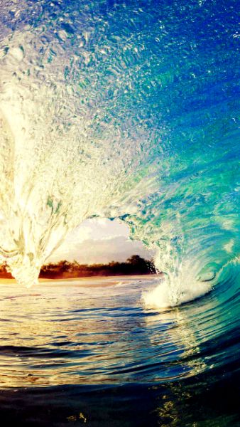 美到窒息,猎户座8895处理器——韩版三星s8系列