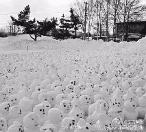 那些年最疯狂的表白,打动人心的表白文案