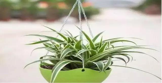 新买的婴儿车婴儿床怎么消除甲醛,什么办法快速消除家具上甲醛味道