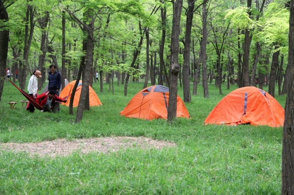 夏天撒欢露营技巧,夏天撒欢