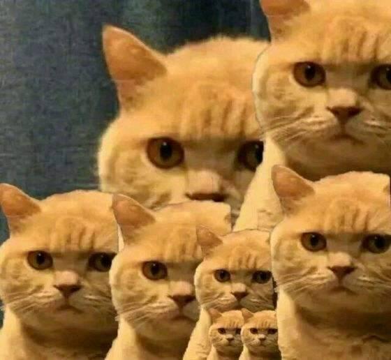 保护皮肤屏障做什么修护,保护好皮肤最外层的屏障