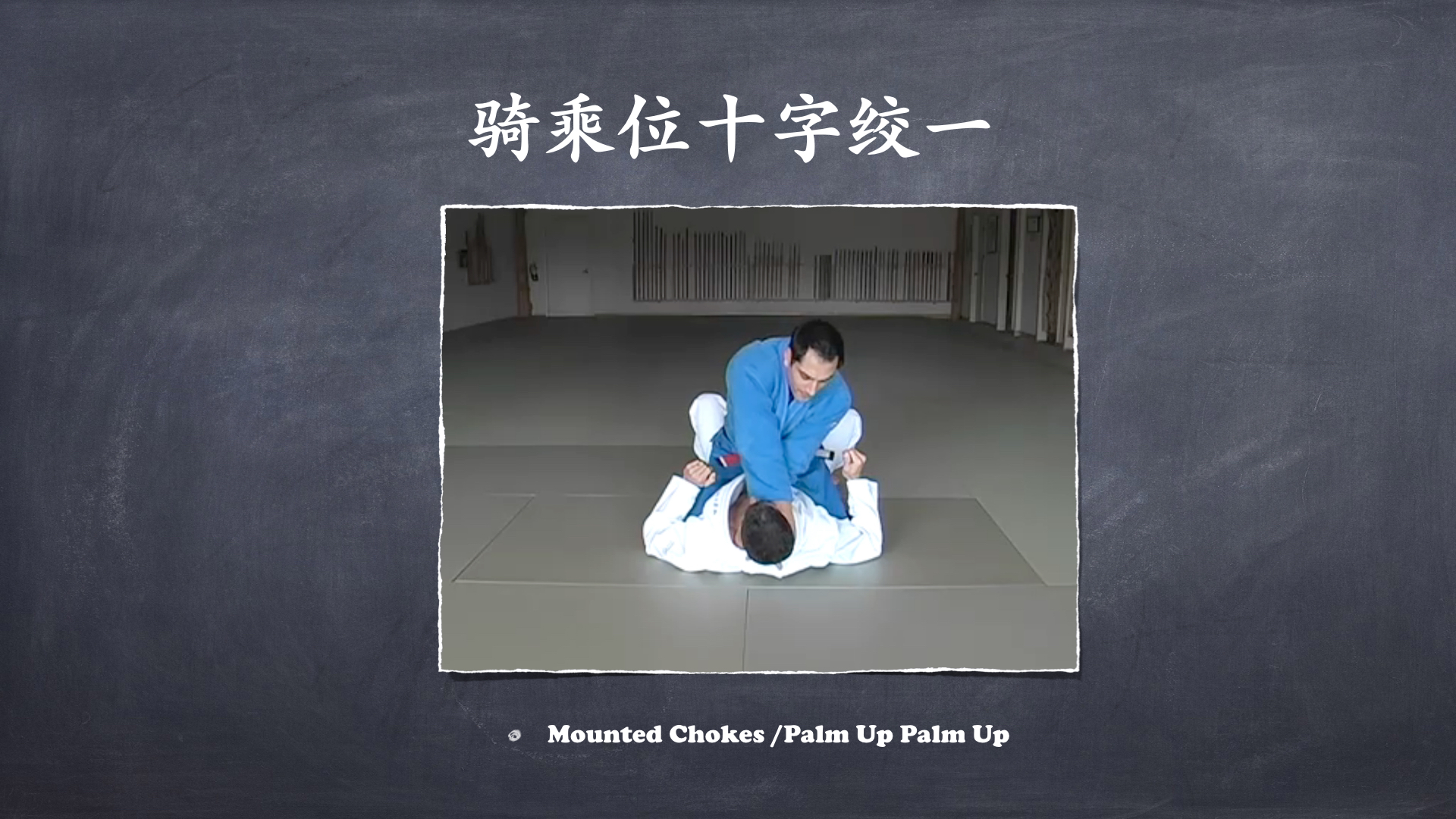 RoyDeans巴西柔术蓝带技术学习大纲