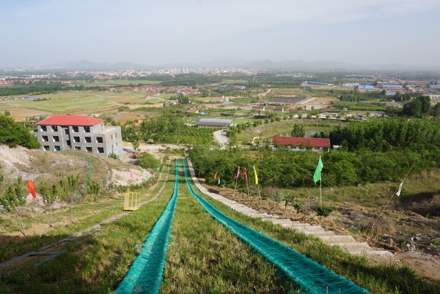 采摘园摘桑葚吃,桑椹采摘园吃桑椹