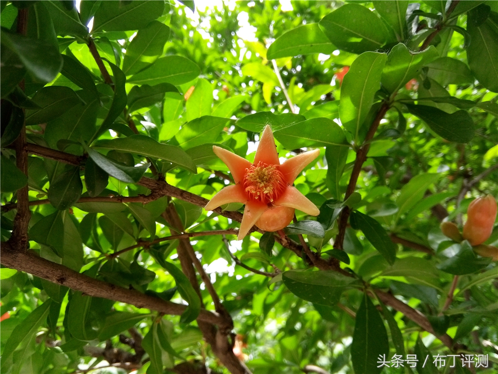 超逼真的裸眼3d壁纸手机,裸眼3d屏幕手机好用吗