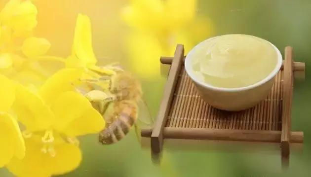 养生滋补之蜂产品 (日本养生滋补之蜂产品)