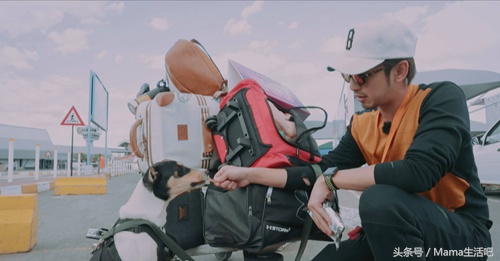 陈柏霖斑马外套同款,陈柏霖同款鞋子