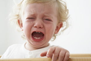 宝宝不慎摔倒,宝宝不小心摔倒你会怎么安慰