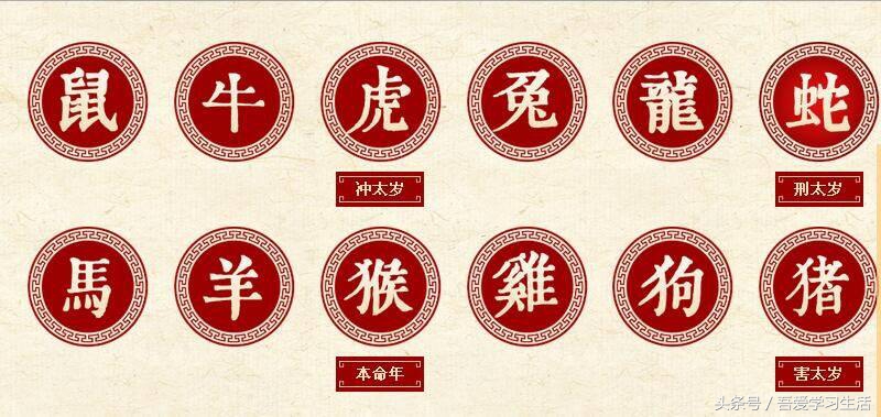 认识十二生肖作用,了解一下十二生肖的命运