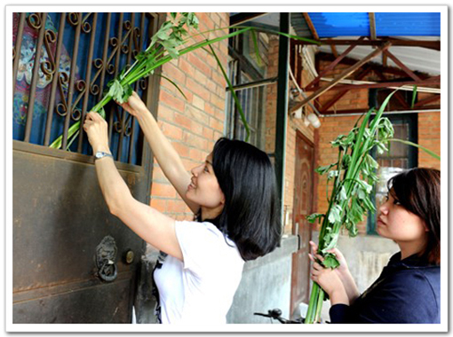 五月被称为恶月,五月端午驱邪避五毒