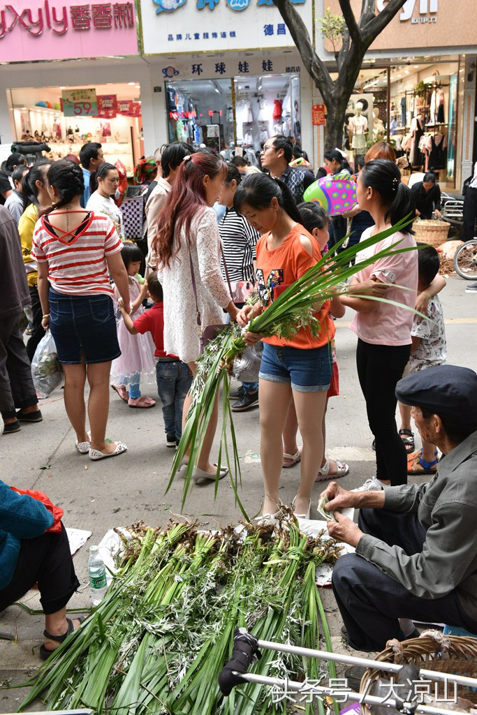 6月18日德昌端午节火爆场面将至，众多中草药先让你辨认，药膳宴等你品尝