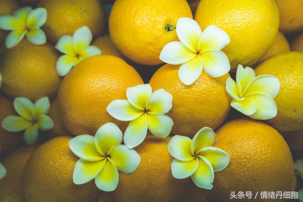 去了三亚去不了海边,去完三亚不看海