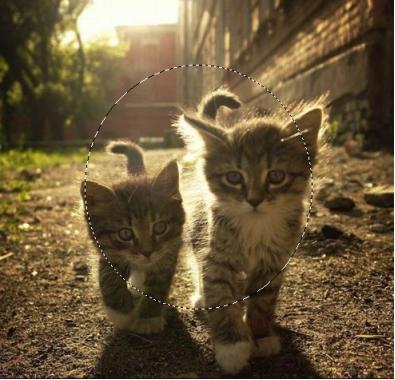 ps里蒙版怎么弄成选区,ps蒙版画笔的使用方法