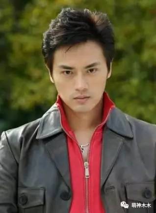 靳东陈坤胡歌王凯杨烁陆毅,钟汉良王凯佟大为陆毅同台合照