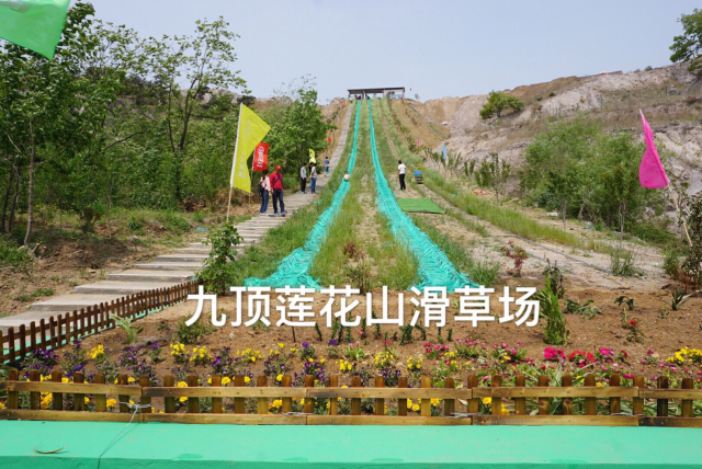 采摘园摘桑葚吃,桑椹采摘园吃桑椹