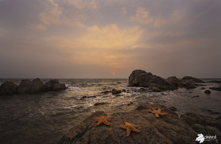秦皇岛日落最佳拍摄,最美日出日落摄影