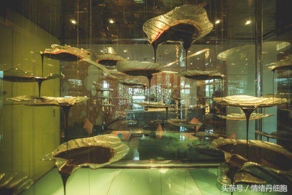 去了三亚去不了海边,去完三亚不看海