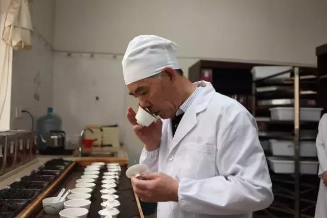 茶人传|尝尽茶中苦，坚守普洱情——陈升河