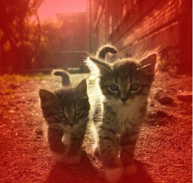 ps里蒙版怎么弄成选区,ps蒙版画笔的使用方法