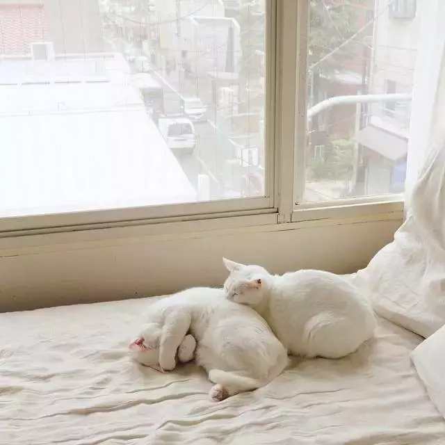 我有一个想法想让你得到我,我有一个大胆的想法你想听吗