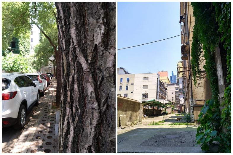 小米max2电池掉电太快,小米max2评测