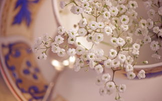 文学经典语录英语原句,一些经典英语句子摘抄