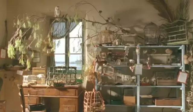 我的不靠谱家人，以及蛇、老鼠、蜥蜴、猫头鹰等其他动物