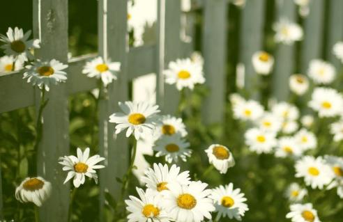 酒精擦在脸上有斑的地方能祛斑吗,祛斑产品真能去除脸上各种斑吗