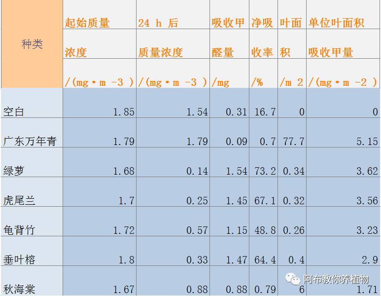 阿布教你养茉莉,阿布教你养植物