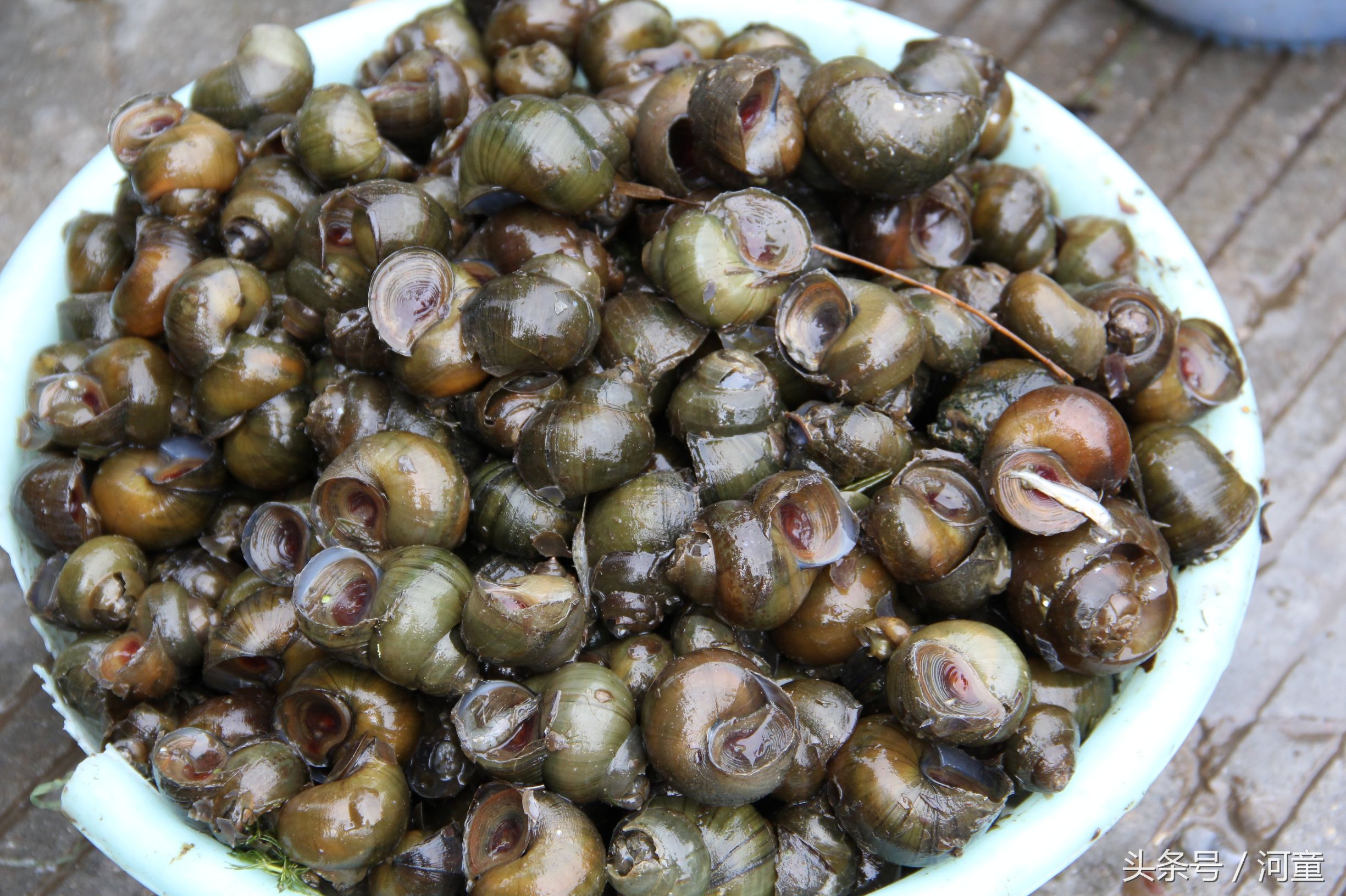 喜洲镇哪里好玩,喜洲哪个地方比较好玩