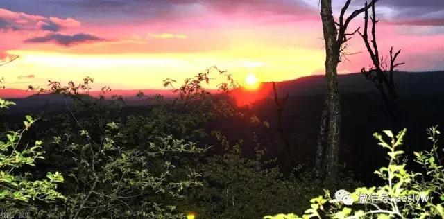 晨曦——一抹金黄下的初生