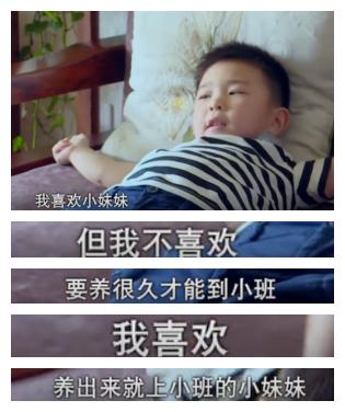 应采儿鹿晗李晨综艺节目是什么,鹿晗宁采臣