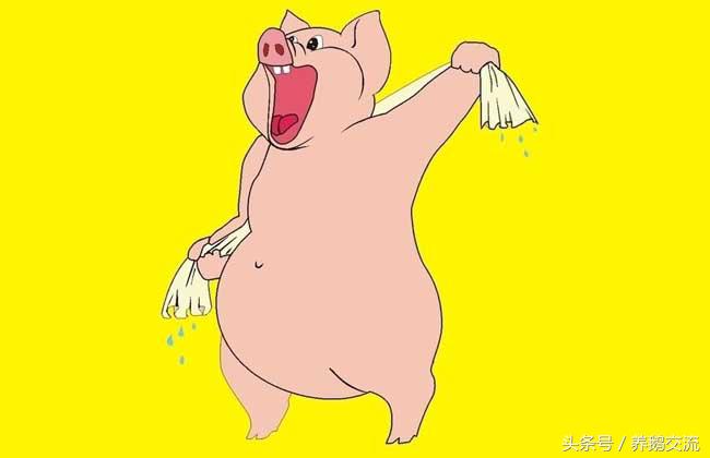 95年属猪的属相婚配表,71年属猪最佳婚配属相