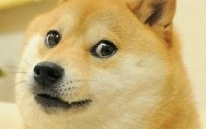 春风国宾650现在值得入手吗,春风国宾摩托车650民用版配置