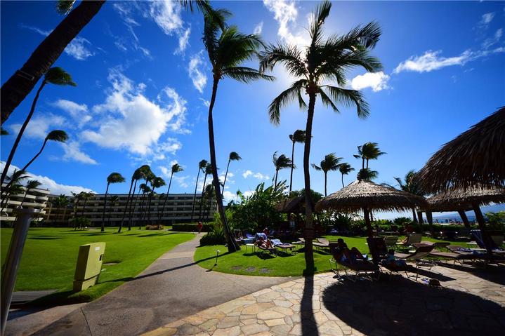 骨灰级探险视频,水上运动场夏威夷maui岛浮潜