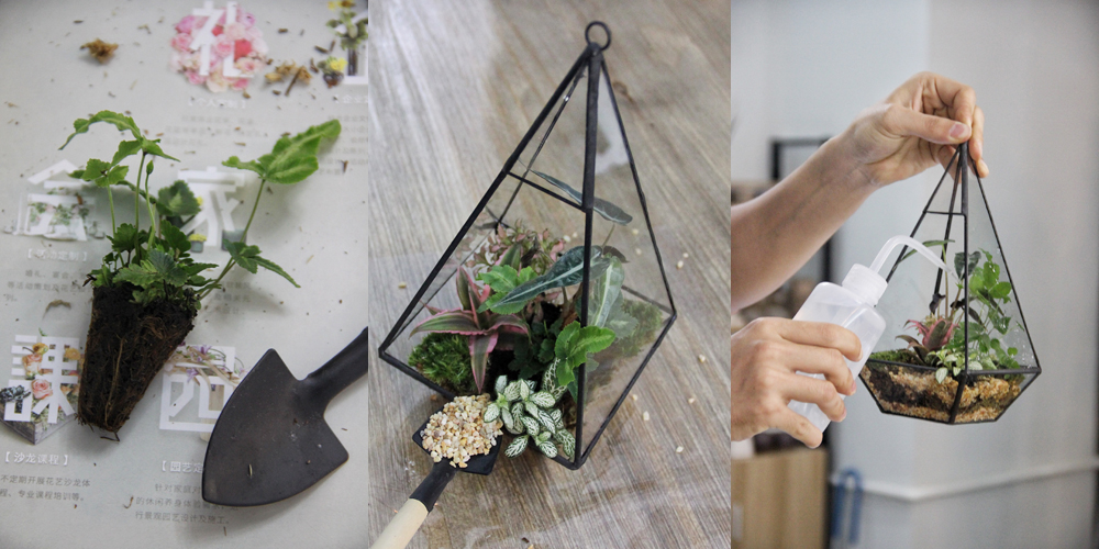 新手花店插花入门教程,插花教程小白入门花店学习