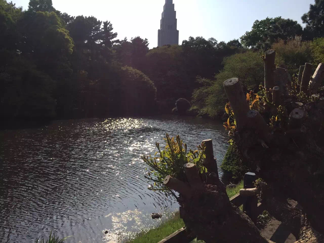你和去日本旅行只差一张机票是一个国家更像是一个星球