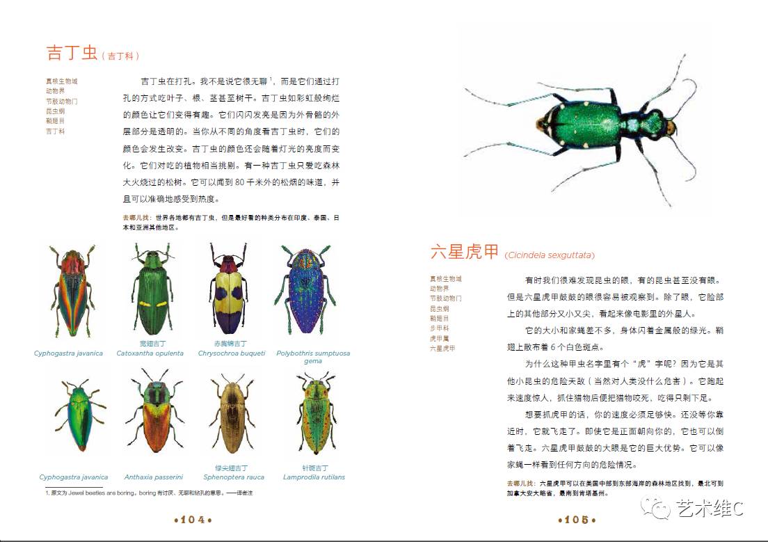 你猜猜，几百年前人们是怎么收藏的？